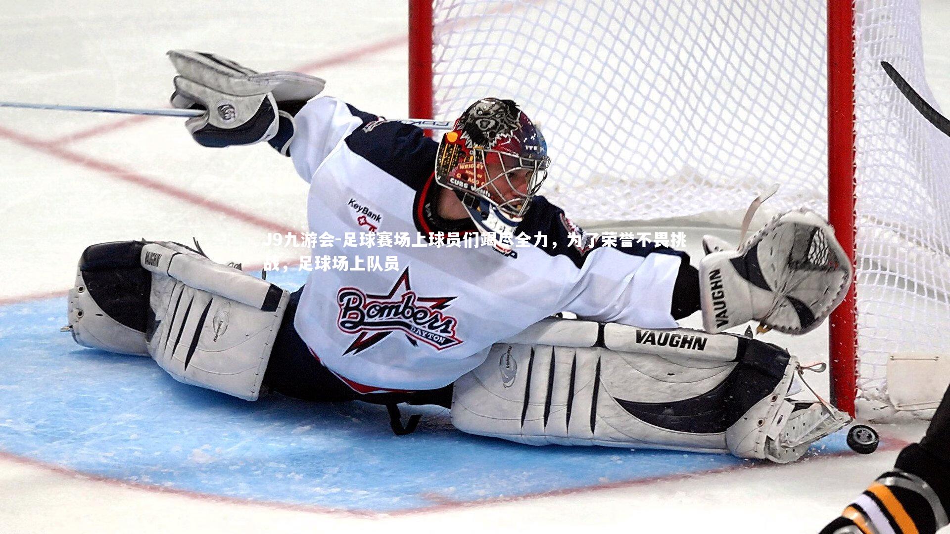 足球赛场上球员们竭尽全力,为了荣誉不畏挑战,足球场上队员