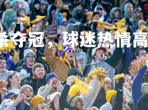 J9九游会-皇马绝杀夺冠，球迷热情高涨庆祝，皇马获胜